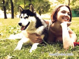 Домашні тварини виявилися джерелом невиліковних інфекцій