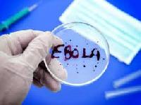 Оприлюднені попередні результати тестування засобів проти лихоманки Ебола