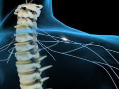 Травми спинного мозку перестануть бути серйозною проблемою