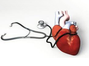 Регенерація серця після серцевого нападу можлива, довели генетики
