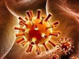 Віруси герпесу можуть утворити новий небезпечний штам