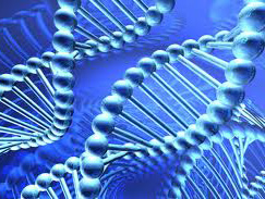 Британка, яка не відчуває болю