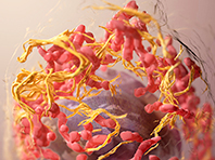  Завершено одне з наймасштабніших досліджень раку в світі