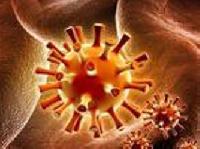 Віруси герпесу можуть утворити новий небезпечний штам