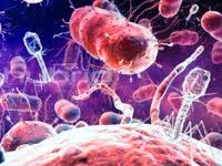 Вчені знайшли в кишечнику людини сліди понад 2000 видів нових бактерій