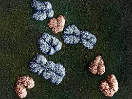 Тривалість життя безпосередньо пов'язана з генами