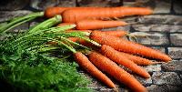 Чому морква повинна бути в раціоні кожної людини щодня