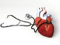 Статеві гормони - важливий фактор ризику серцевих недуг