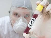 Учені протестували новий спосіб боротьби з вірусом Зіка